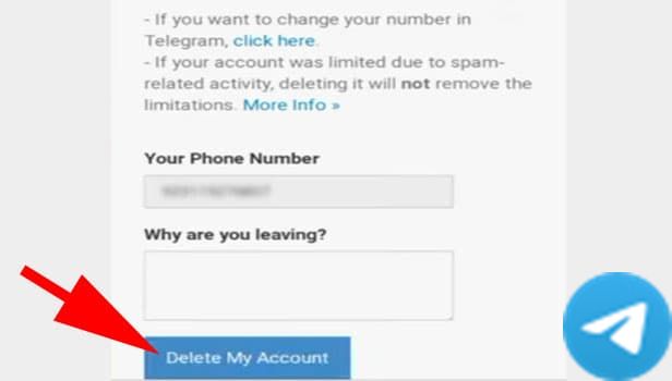 图示：从网站删除Telegram账户 步骤5