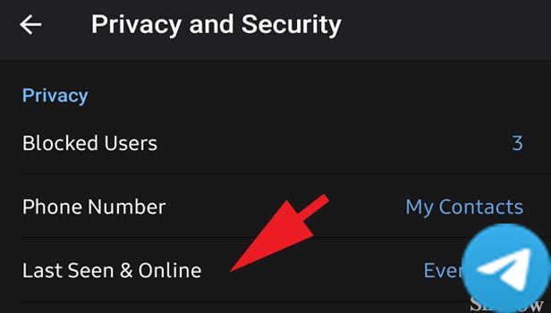 Telegram隐藏最后在线的第5步