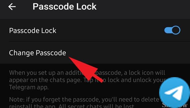图示：重置Telegram应用程序密码步骤 6