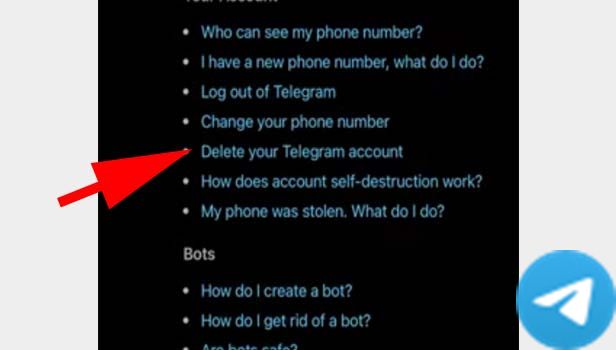 删除Telegram账户iPhone步骤3