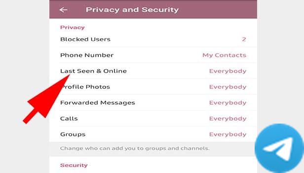 更改Telegram最后在线步骤5