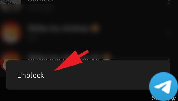 解除Telegram上某人的封锁步骤 7